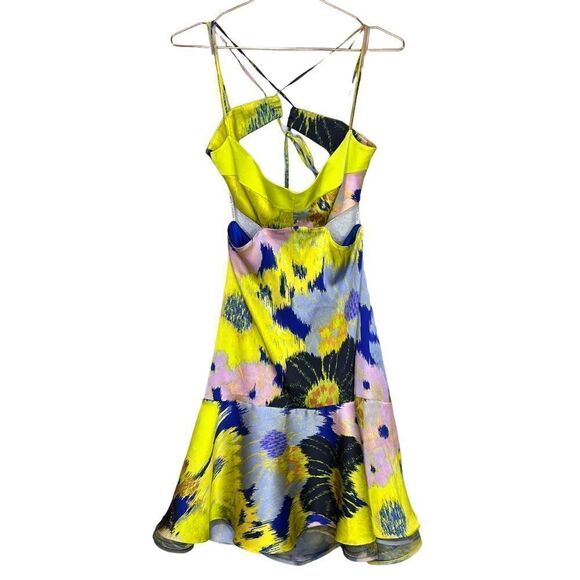 NEW Silvia Tcherassi Analissa Cut Out Silk Abstract Floral Dress Medium - Picture 5 of 14